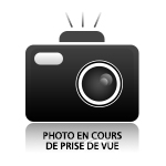 Pare-choc ARRIERE GRIS ANTHRACITE AVEC LISERÉ ROUGE pour Peugeot 205 GTI phase 1, livré avec les 4 vis de fixation